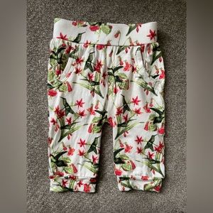 KQ Hummingbird Pants